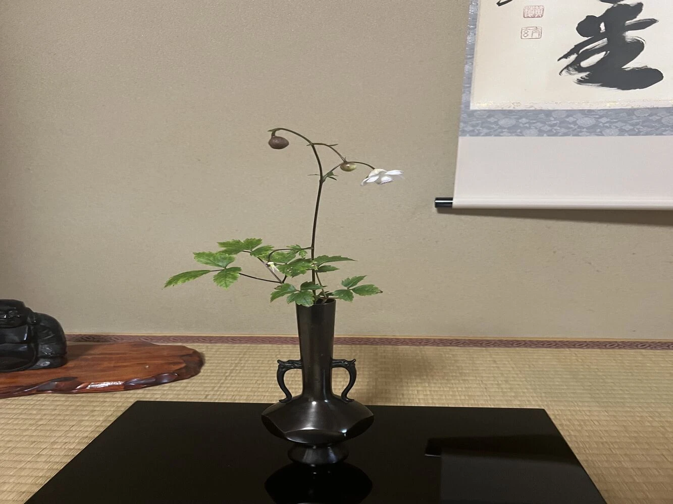 画像3654